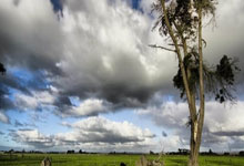 问鼎娱乐下载：篮球——NBA常规赛：凯尔特人胜国王.