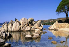 问鼎娱乐下载：[NBA]康宁汉姆29+9 活塞战胜爵士.